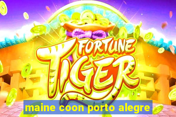 maine coon porto alegre